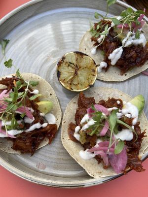 Jackfruit tacos (minus one) at Friend of Mine  in Bridge Of Allan