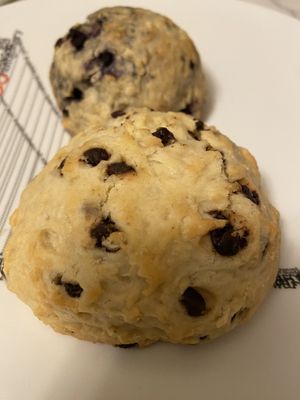 Vegan blueberry and chocolate chip scones  at Rebel Dog Coffee Co in Plainville