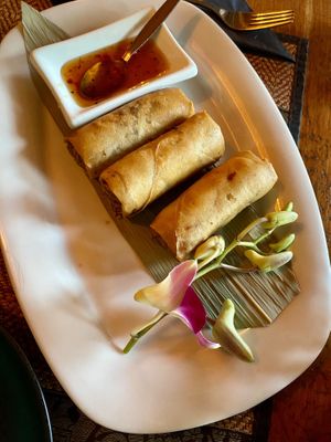 Vegan spring rolls   at Muang Thai in Buchholz