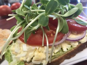 Egg salad sandwich at Cabbage in Skippack