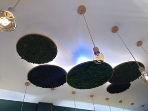 Moss decoration on the ceiling at Le Potager de Charlotte - Rennequin in Paris