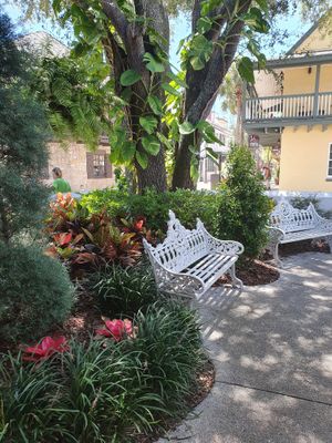 Bench and garden  at Columbia in St Augustine