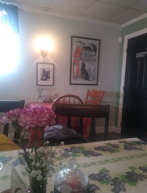  at The Black Cat Cafe in Devon