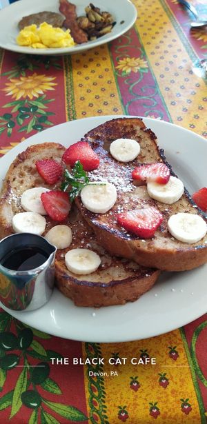  at The Black Cat Cafe in Devon