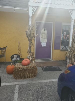  at The Black Cat Cafe in Devon