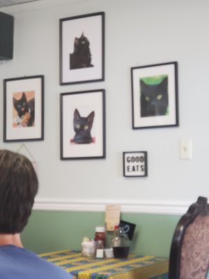  at The Black Cat Cafe in Devon