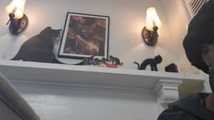  at The Black Cat Cafe in Devon