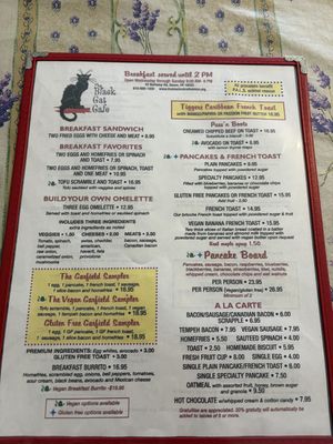  at The Black Cat Cafe in Devon