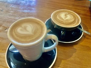 Oat latte & Soy flat white at Kush Coffee Ltd in Nelson