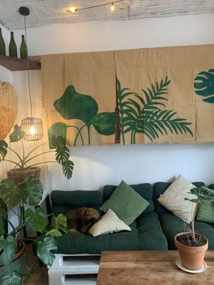 Inside the cafe  at Coco Cuina Viva in Cadaques