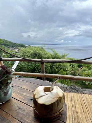Fresh whole coconut   at Blue Earth Village in Bunutan