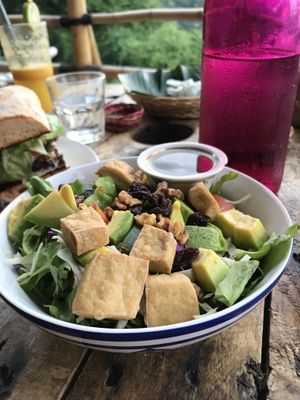 Salad bowl with tofu avocado and all kinds of seeds at Blue Earth Village in Bunutan