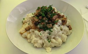 Halusky at Made with Laf in Bratislava