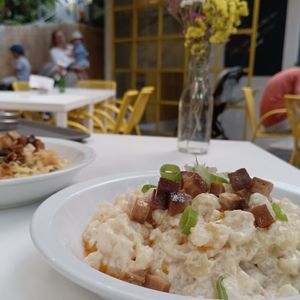 Vegan halušky at Made with Laf in Bratislava