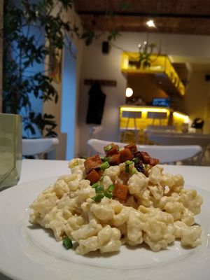 Traditional Slovak dish at Made with Laf in Bratislava