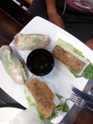 Fresh spring rolls at The Little Leaf in Cat Ba