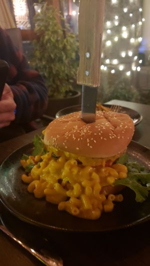 The Spirit Animal at Modern Shaman in Whittier