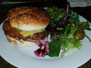 In house burger at Modern Shaman in Whittier