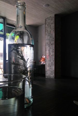 Chilled, rosemary infused water at Modern Shaman in Whittier