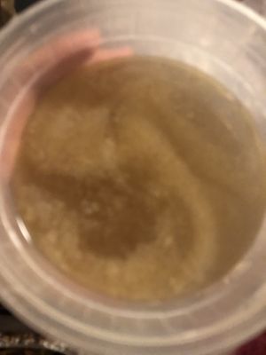 Sesame oil hericium mushroom 
  at Zen Garden in Great Neck