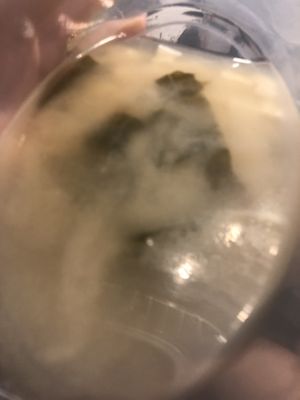 Miso tofu soup 32 Oz   at Zen Garden in Great Neck