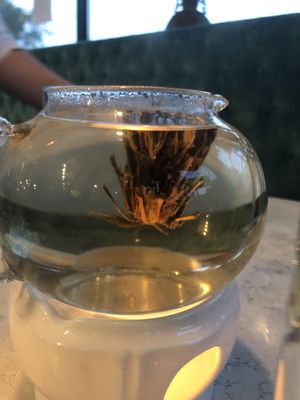 Leo flower tea at Zen Garden in Great Neck