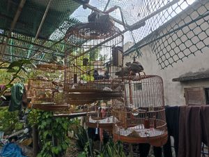  at Quan Chay - Cua Dai in Hoi An