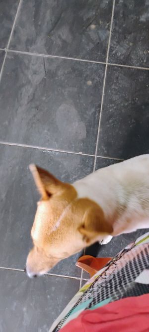  at Quan Chay - Cua Dai in Hoi An