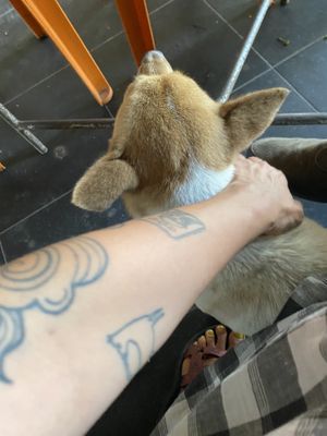   at Quan Chay - Cua Dai in Hoi An