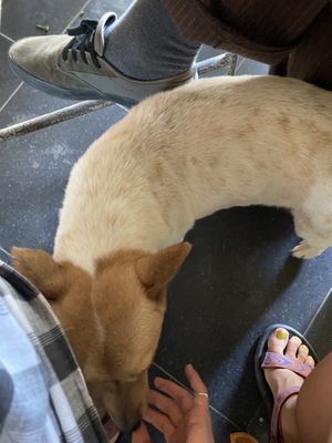   at Quan Chay - Cua Dai in Hoi An