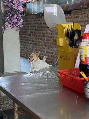   at Quan Chay - Cua Dai in Hoi An