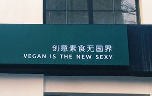 Vegan is the new sexy! at Uni Con - YǔNèi LièGuó Qīng Shū LiàoLǐ in Dalian