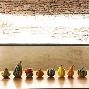 pumpkins at Herbe in Reggio Emilia