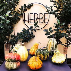 pumpkins at Herbe in Reggio Emilia