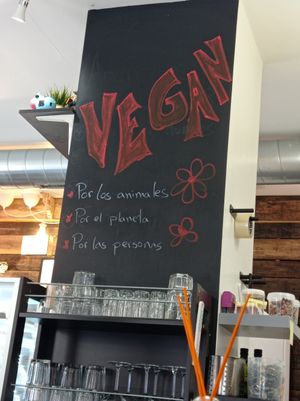 Pared at La Factoría Vegana in Leon