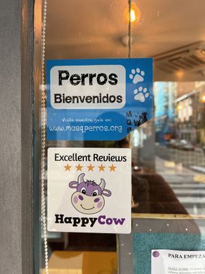 Dogs welcome!  at La Factoría Vegana in Leon