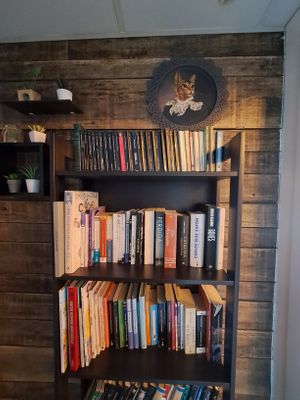 Librería at La Factoría Vegana in Leon