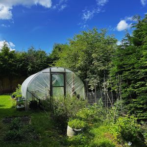 Pub kitchen garden and polytunnel, where we grow our own fruit, veg and herbs at Ilkley Moor Vaults in Ilkley