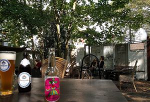 Indoor garden at Café Bubu in Leipzig