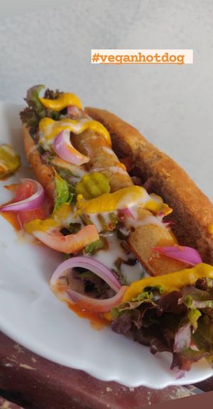 Vegan Hotdog at Plantarium in Hyderabad