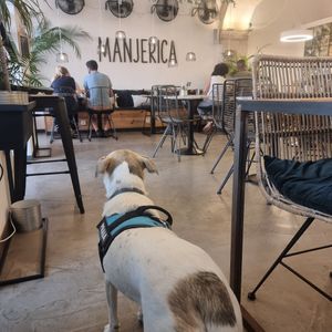 A Sundy é sempre bem-vinda at Manjerica in Lisbon