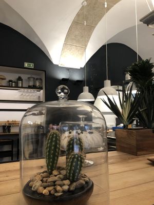 Inside   at Manjerica in Lisbon
