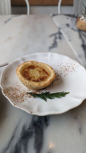Pastel de Nata at Manjerica in Lisbon