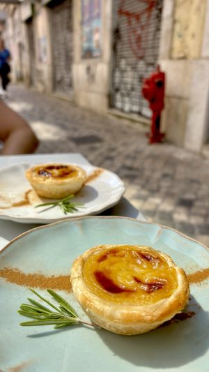   at Manjerica in Lisbon