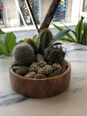 Table Decor  at Manjerica in Lisbon