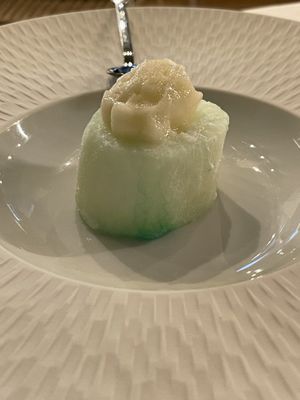 Sorbet at Antonio Chiodi Latini in Turin