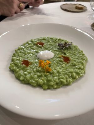 Risotto at Antonio Chiodi Latini in Turin