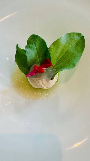  at Antonio Chiodi Latini in Turin