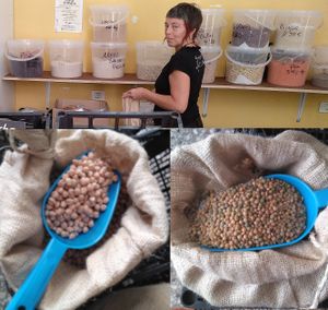 Ecological and local fruit and vegetables. Fair and local trade. No chemistry.
Bulk sale at Alborinco in Gran Canaria