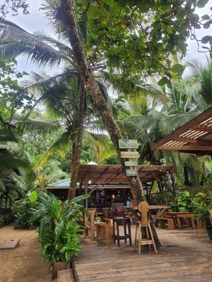 stunning place at Palmar Beach Lodge in Bastimento